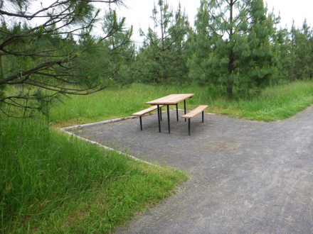 Picnic table near the parking lot and playground is surrounded by compacted gravel